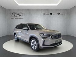 Grau Gebraucht 2024 Skoda Kodiaq SUV | 42.890 € (Superpreis)