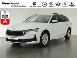 Weiss Gebraucht 2024 Skoda Octavia Ambition Kombi | 27.724 € (Guter Preis)