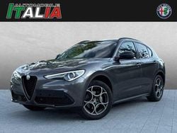 Grau Gebraucht 2019 Alfa Romeo Stelvio Tech Edition SUV | 21.690 € (Fairer Preis)