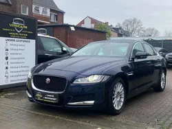Blau Gebraucht 2018 Jaguar XF Pure Limousine | 20.990 € (Guter Preis)