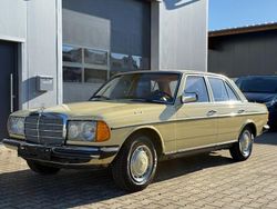 Gelb Gebraucht 1978 Mercedes 250 Limousine | 11.500 €