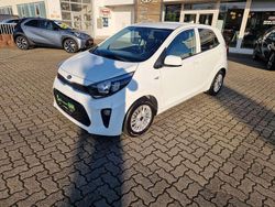 Schneeweiss Gebraucht 2021 Kia Picanto DREAM-TEAM Edition Kleinwagen | 11.350 € (Fairer Preis)