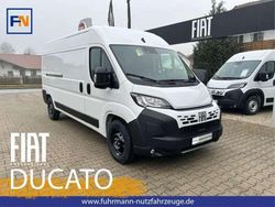 Weiß Neu 2025 Fiat Ducato Van | 35.643 € (Fairer Preis)
