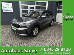 Grau Gebraucht 2024 Skoda Kodiaq Selection SUV | 44.989 € (Guter Preis)