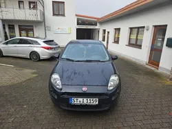Blau Gebraucht 2015 Fiat Punto Pop Kleinwagen | 5.500 € (Teuer)