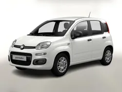 Weiss Neu 2025 Fiat Panda Kleinwagen | 13.748 € (Guter Preis)