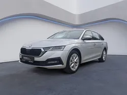 Silber Gebraucht 2023 Skoda Octavia Ambition Kombi | 21.888 € (Guter Preis)