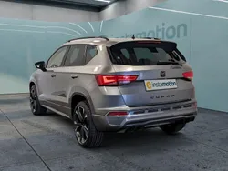 Grau Gebraucht 2024 Cupra Ateca SUV | 36.949 € (Fairer Preis)