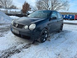 Gebraucht 2004 VW Polo Kleinwagen | 1.250 € (Fairer Preis)