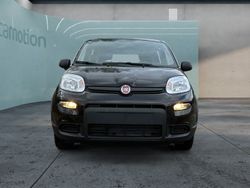 Schwarz Gebraucht 2024 Fiat Panda Kleinwagen | 14.590 € (Etwas zu teuer)