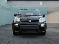 Schwarz Gebraucht 2024 Fiat Panda Kleinwagen | 14.590 € (Etwas zu teuer)