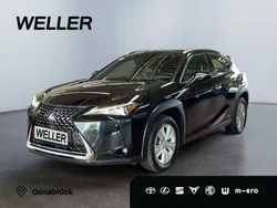 Schwarz Gebraucht 2021 Lexus UX 250h Business Edition SUV | 23.550 € (Guter Preis)