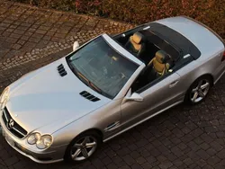 Silber Gebraucht 2001 Mercedes SL500 AMG Cabrio | 18.500 € (Etwas zu teuer)