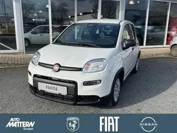 Gelato weiss Gebraucht 2025 Fiat Panda Kleinwagen | 14.990 € (Fairer Preis)