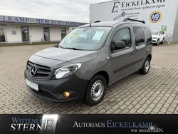 Delfingrau Gebraucht 2020 Mercedes Citan 109 Kombi | 16.990 € (Teuer)