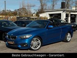 Blau Gebraucht 2016 BMW 220 M Sport Cabrio | 20.900 € (Fairer Preis)