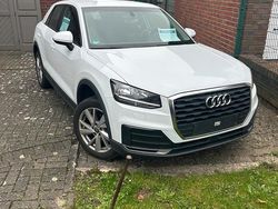 Weiß Gebraucht 2019 Audi Q2 SUV | 17.900 € (Fairer Preis)