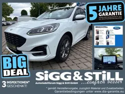 Frostweiß Gebraucht 2022 Ford Kuga ST-Line X SUV | 26.750 € (Fairer Preis)