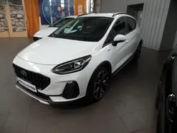 Frozen white Gebraucht 2023 Ford Fiesta Active X Kleinwagen | 23.950 € (Etwas zu teuer)
