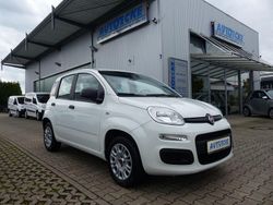 Weiß Gebraucht 2020 Fiat Panda Easy Kleinwagen | 7.990 € (Guter Preis)