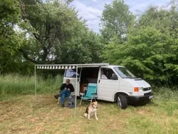 Weiß Gebraucht 2001 VW T4 Van | 9.500 € (Guter Preis)