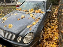Blau Gebraucht 2004 Mercedes E240 Limousine | 7.500 € (Etwas zu teuer)