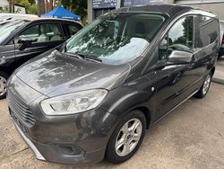 Grau Gebraucht 2021 Ford Transit Limited Van / Kleinbus | 9.250 € (Superpreis)