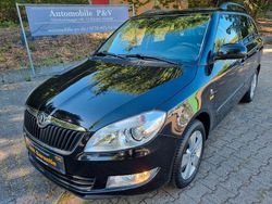 Schwarz Gebraucht 2014 Skoda Fabia Fresh Kleinwagen | 5.890 € (Fairer Preis)