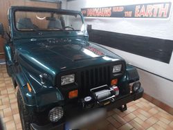 Grün Gebraucht 1992 Jeep Wrangler Sahara SUV | 19.000 €