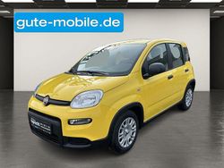 Gelb Gebraucht 2024 Fiat Panda Limousine | 12.990 € (Fairer Preis)