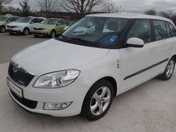 Weiß Gebraucht 2011 Skoda Fabia GreenLine Kleinwagen | 8.790 €