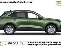 Bursting green Neu 2025 Ford Kuga Titanium SUV | 29.048 € (Superpreis)