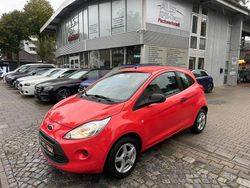 Rot Gebraucht 2009 Ford Ka Trend Kleinwagen | 3.450 € (Etwas zu teuer)