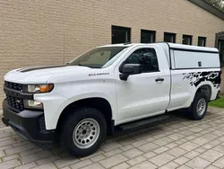Weiß Gebraucht 2020 Chevrolet Silverado SUV | 39.900 €