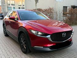 Rot Gebraucht 2020 Mazda CX-30 Selection SUV | 19.999 € (Guter Preis)