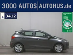 Grau Gebraucht 2019 Ford Fiesta Trend Kleinwagen | 6.980 € (Superpreis)