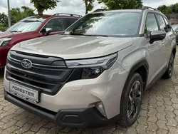 Cashmere gold opal Gebraucht 2025 Subaru Forester Exclusive+ SUV | 41.990 € (Etwas zu teuer)