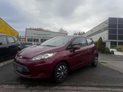 Hot magenta Gebraucht 2011 Ford Fiesta Trend Kleinwagen | 2.790 € (Superpreis)
