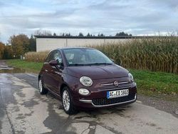 Violet Gebraucht 2015 Fiat 500 Lounge Kleinwagen | 5.999 € (Fairer Preis)