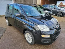 Schwarz Gebraucht 2013 Fiat Panda Lounge Kleinwagen | 5.700 € (Fairer Preis)