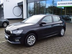 Grau Gebraucht 2025 Skoda Fabia Selection Kleinwagen | 20.980 € (Fairer Preis)