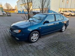 Blau Gebraucht 2000 Nissan Primera Limousine | 1.350 € (Fairer Preis)