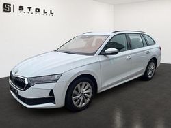Weiss Gebraucht 2025 Skoda Octavia Selection Kombi | 29.990 € (Etwas zu teuer)