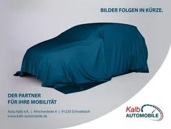 Grau Neu 2024 Skoda Fabia Limousine | 18.999 € (Fairer Preis)