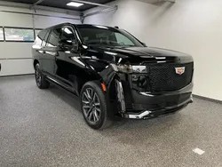 Schwarz Neu 2024 Cadillac Escalade SUV | 137.600 € (Fairer Preis)