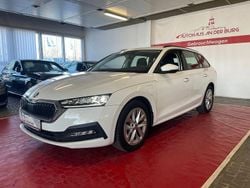 Candyweiss Gebraucht 2022 Skoda Octavia Ambition Kombi | 22.999 € (Superpreis)