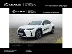 Titaniumweiss Gebraucht 2023 Lexus UX 250h SUV | 29.960 € (Guter Preis)