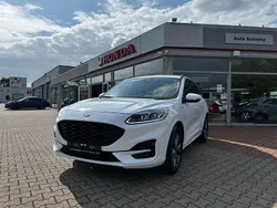 Frostweiß Gebraucht 2022 Ford Kuga ST-Line X SUV | 24.450 € (Guter Preis)