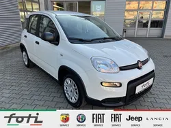 Weiß Neu 2024 Fiat Panda Kleinwagen | 16.990 €