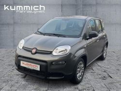 Grau Gebraucht 2023 Fiat Panda Kleinwagen | 12.490 € (Fairer Preis)